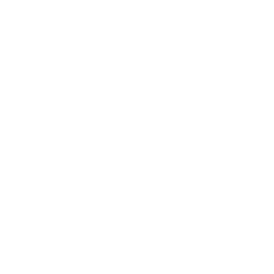 ENTRY PERMIT