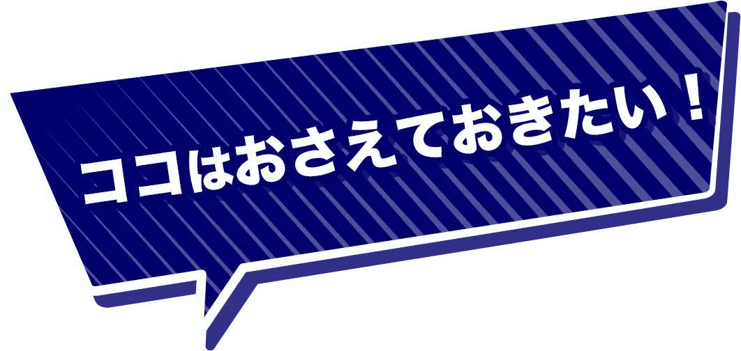 ココだけはおさえておきたい