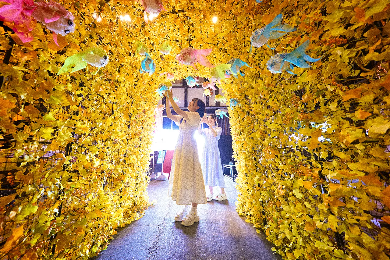 花金魚ちょうちん