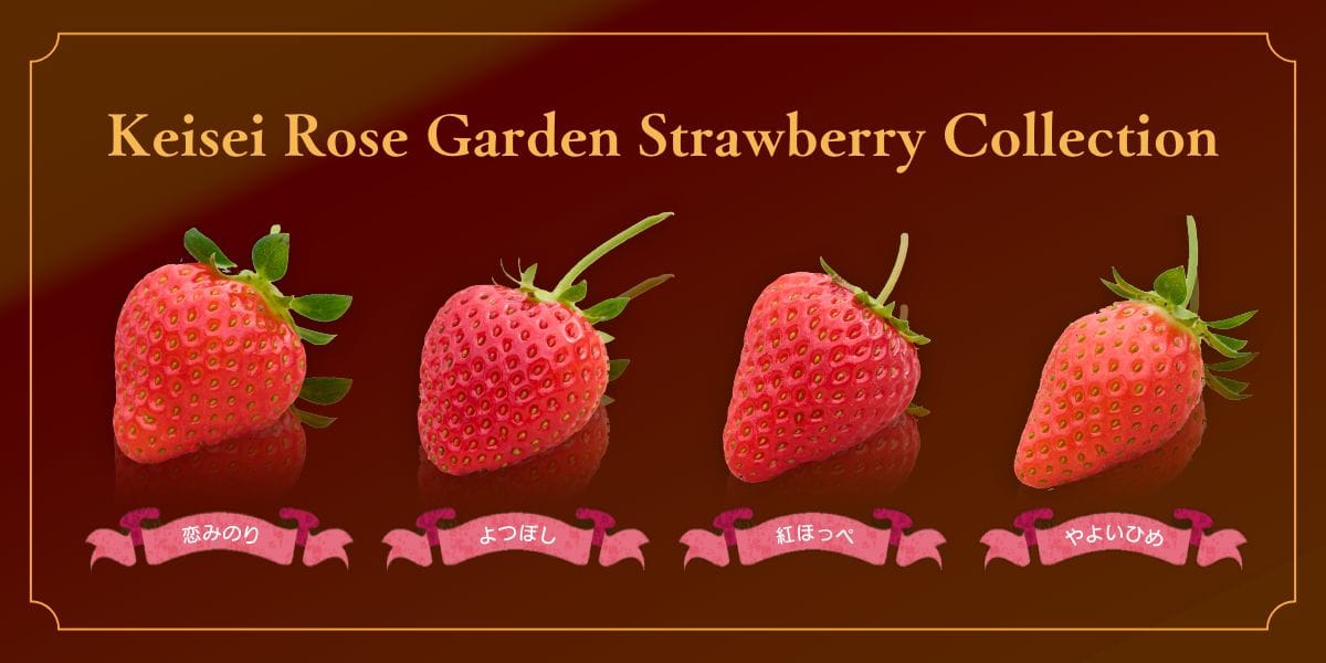 Keisei Rose Garden Strawberry Collection